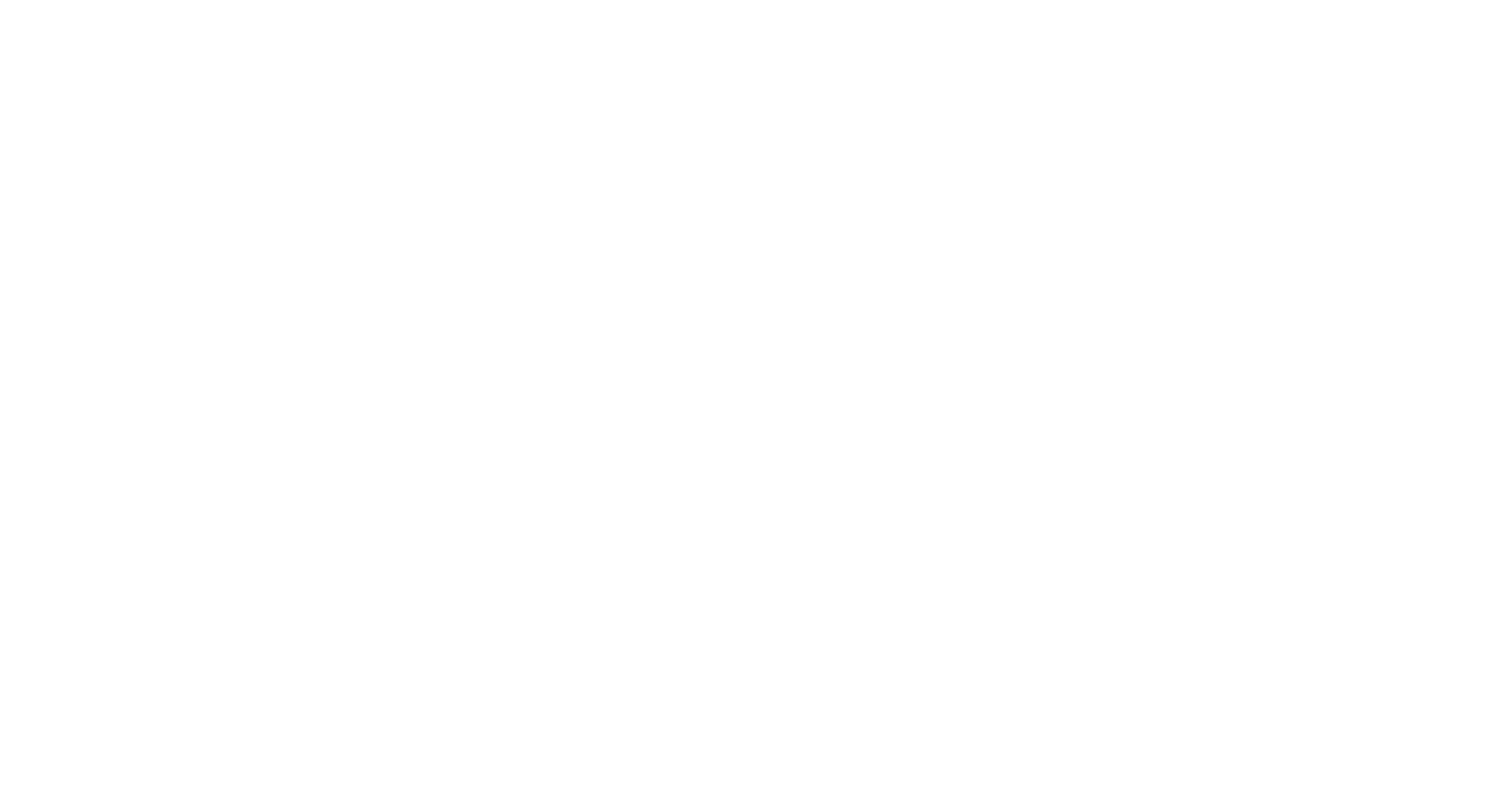 VELYO Logo